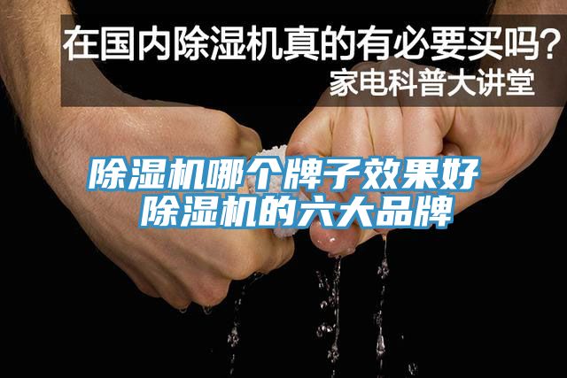 除湿机哪个牌子效果好 除湿机的六大品牌
