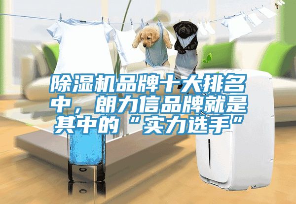 除湿机品牌十大排名中，朗力信品牌就是其中的“实力选手”