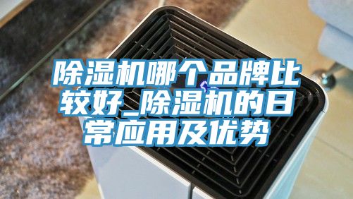 除湿机哪个品牌比较好_除湿机的日常应用及优势