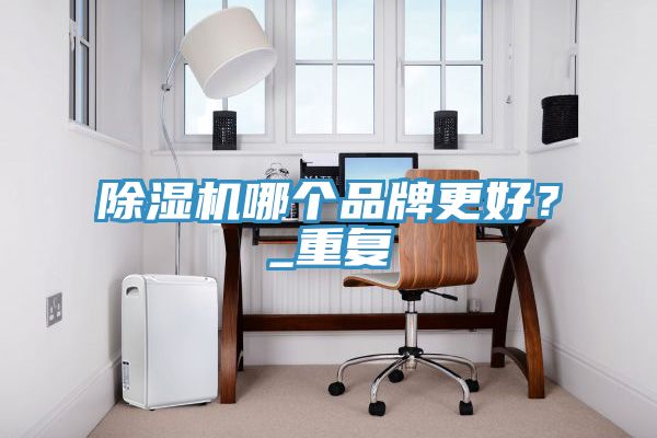 除湿机哪个品牌更好？_重复