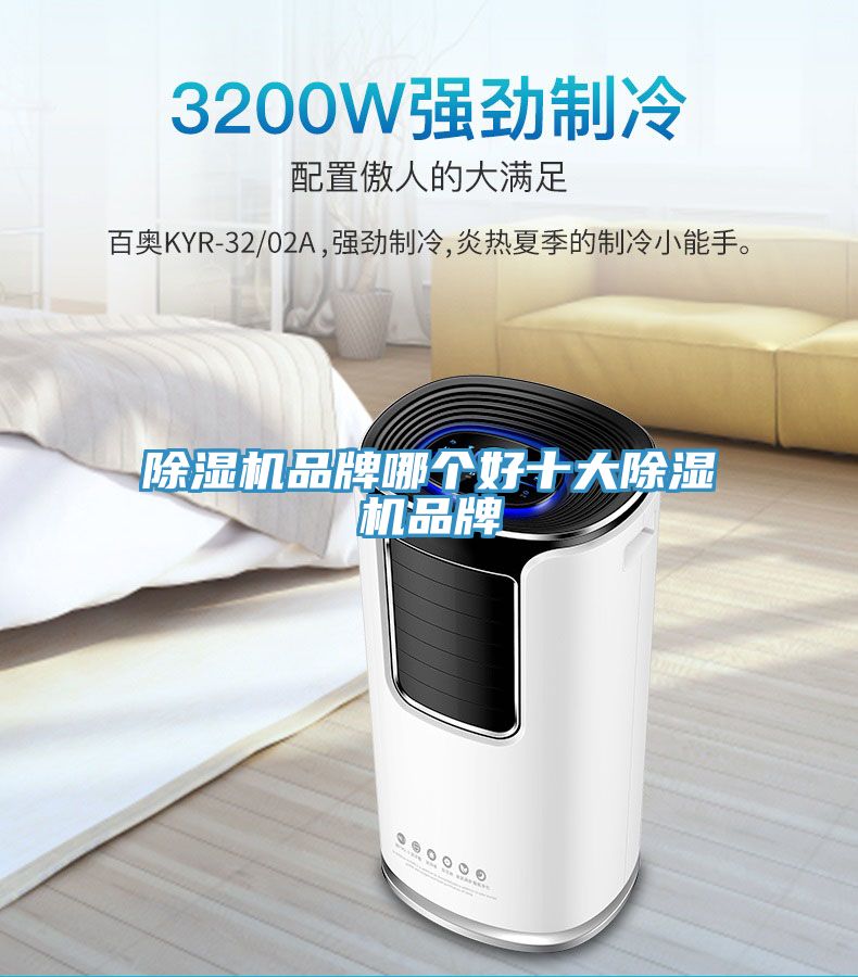 除湿机品牌哪个好十大除湿机品牌