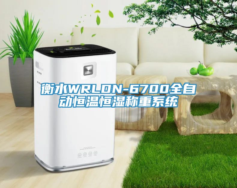 衡水WRLDN-6700全自动恒温恒湿称重系统