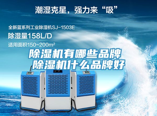 除湿机有哪些品牌 除湿机什么品牌好