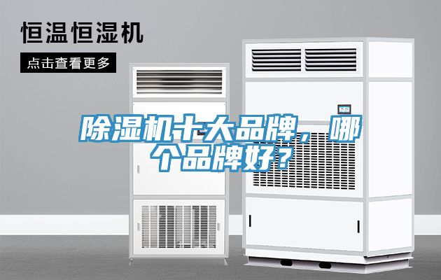 除湿机十大品牌，哪个品牌好？