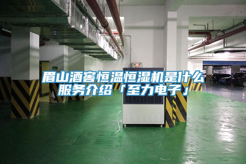 眉山酒窖恒温恒湿机是什么服务介绍「至力电子」