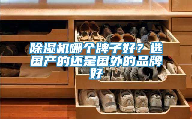 除湿机哪个牌子好？选国产的还是国外的品牌好