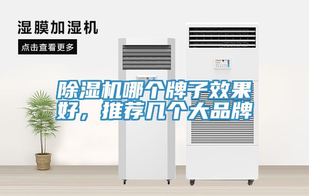 除湿机哪个牌子效果好，推荐几个大品牌