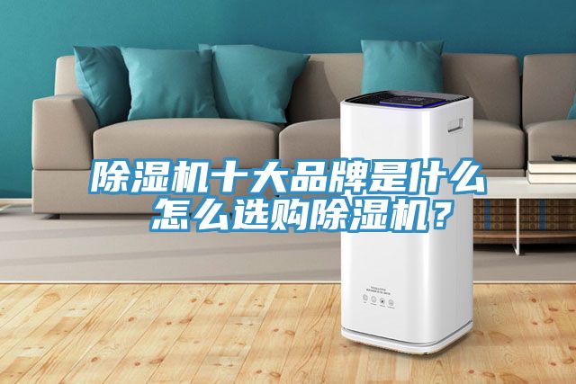 除湿机十大品牌是什么 怎么选购除湿机？