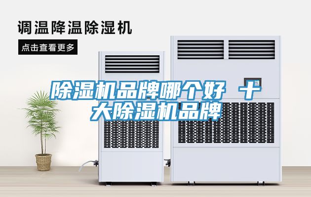 除湿机品牌哪个好 十大除湿机品牌