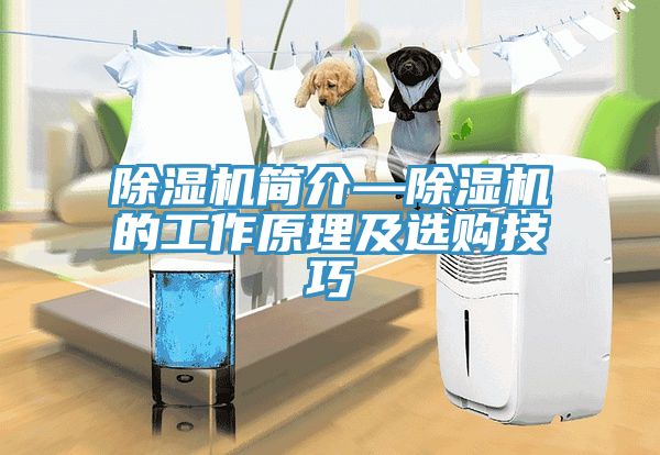 除湿机简介—除湿机的工作原理及选购技巧