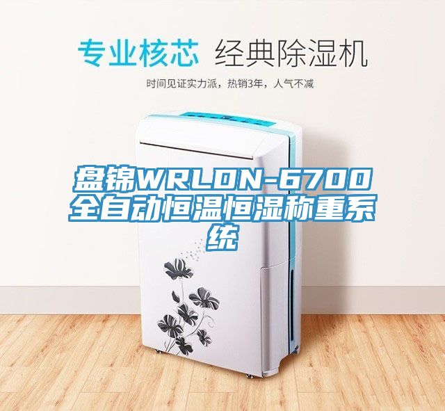 盘锦WRLDN-6700全自动恒温恒湿称重系统