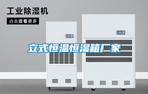 立式恒温恒湿箱厂家