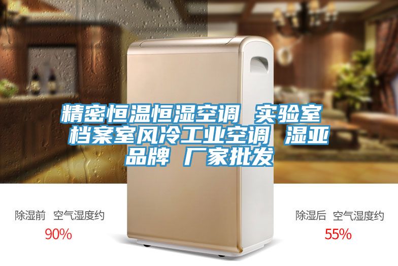 精密恒温恒湿空调 实验室 档案室风冷工业空调 湿亚品牌 厂家批发