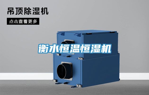 衡水恒温恒湿机