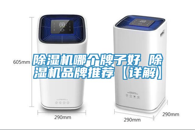 除湿机哪个牌子好 除湿机品牌推荐【详解】