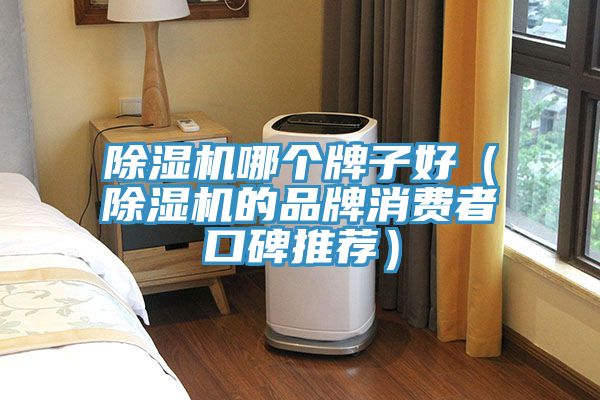 除湿机哪个牌子好（除湿机的品牌消费者口碑推荐）