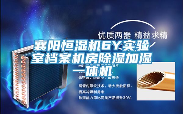 襄阳恒湿机6Y实验室档案机房除湿加湿一体机