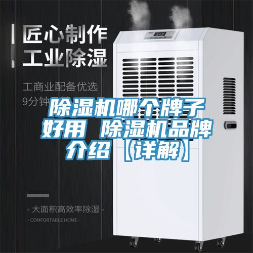 除湿机哪个牌子好用 除湿机品牌介绍【详解】