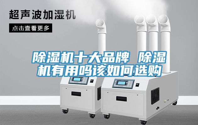 除湿机十大品牌 除湿机有用吗该如何选购