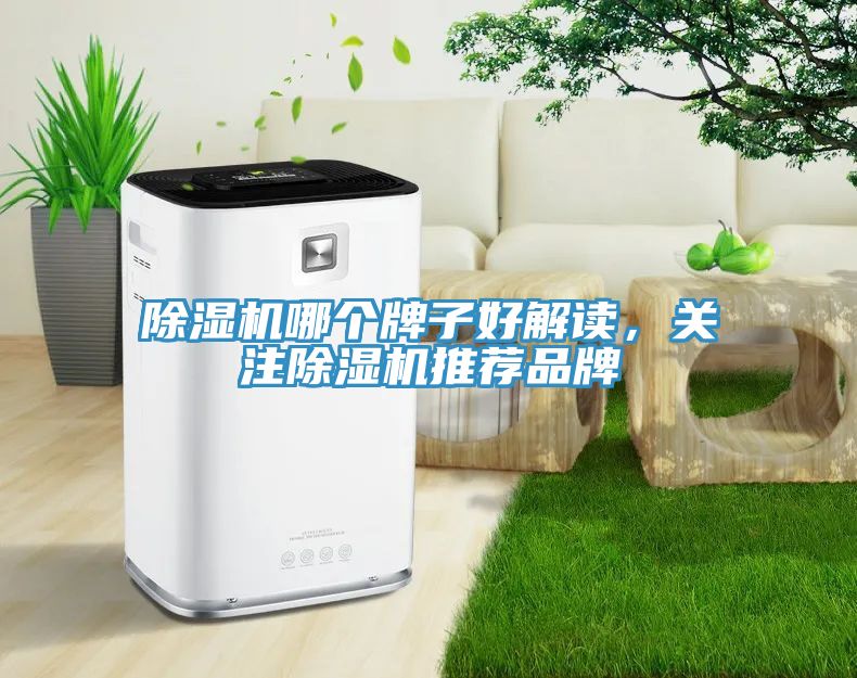 除湿机哪个牌子好解读，关注除湿机推荐品牌