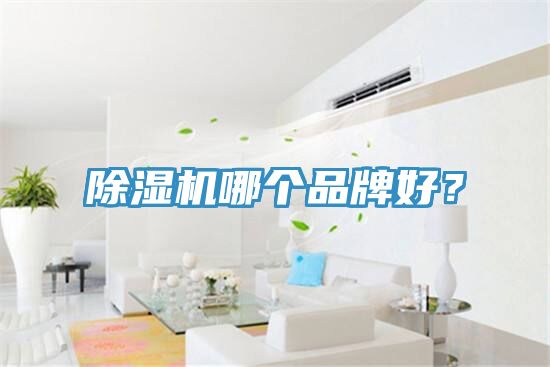 除湿机哪个品牌好？