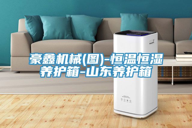 豪鑫机械(图)-恒温恒湿养护箱-山东养护箱
