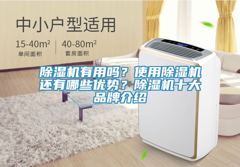 除湿机有用吗？使用除湿机还有哪些优势？除湿机十大品牌介绍