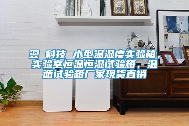 翌昇科技 小型温湿度实验箱，实验室恒温恒湿试验箱，温循试验箱厂家现货直销