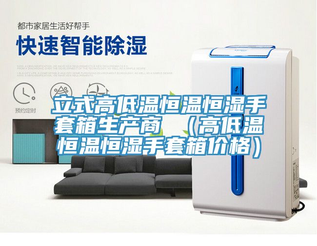 立式高低温恒温恒湿手套箱生产商 （高低温恒温恒湿手套箱价格）
