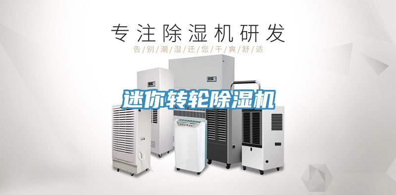 迷你转轮除湿机