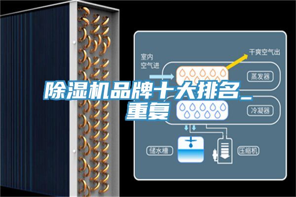 除湿机品牌十大排名_重复