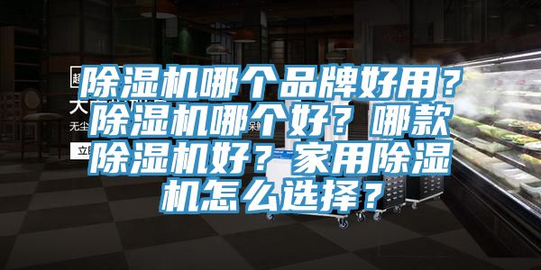 除湿机哪个品牌好用？除湿机哪个好？哪款除湿机好？家用除湿机怎么选择？