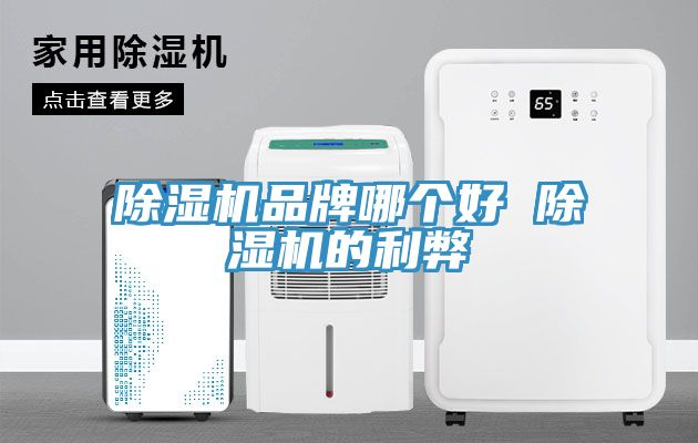 除湿机品牌哪个好 除湿机的利弊