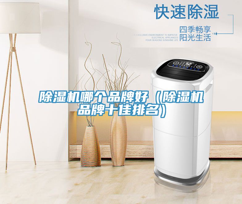 除湿机哪个品牌好（除湿机品牌十佳排名）