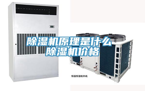 除湿机原理是什么 除湿机价格