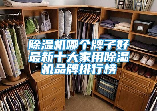 除湿机哪个牌子好最新十大家用除湿机品牌排行榜