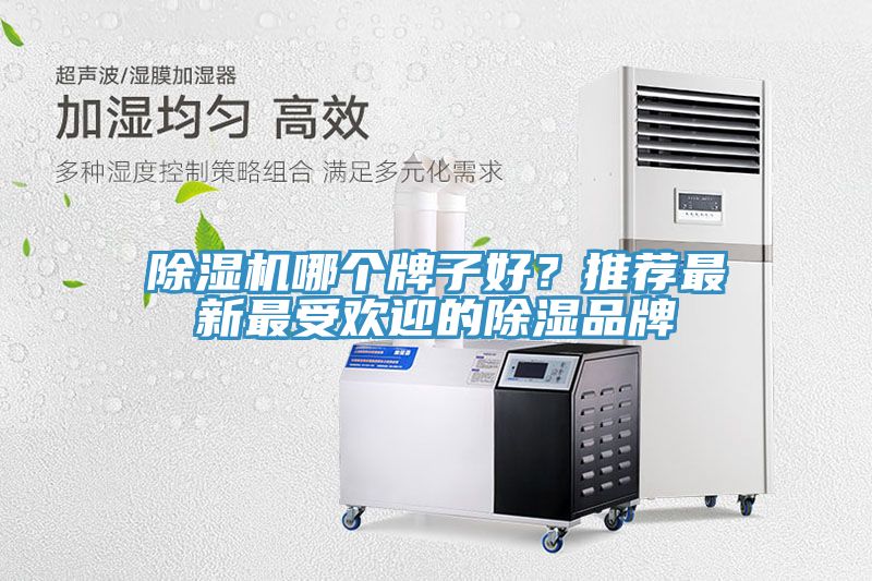 除湿机哪个牌子好？推荐最新最受欢迎的除湿品牌