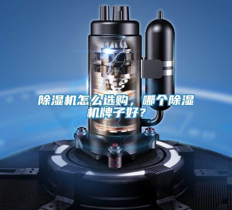 除湿机怎么选购，哪个除湿机牌子好？