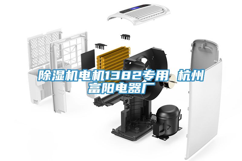 除湿机电机1382专用 杭州富阳电器厂