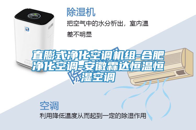 直膨式净化空调机组-合肥净化空调-安徽霖达恒温恒湿空调
