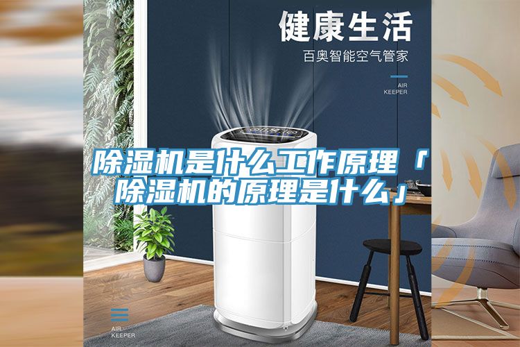 除湿机是什么工作原理「除湿机的原理是什么」