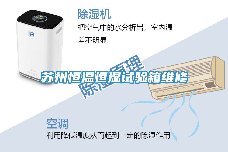 苏州恒温恒湿试验箱维修