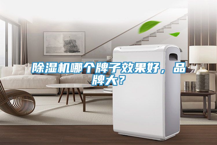 除湿机哪个牌子效果好，品牌大？