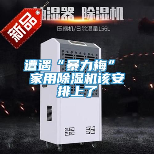遭遇“暴力梅” 家用除湿机该安排上了