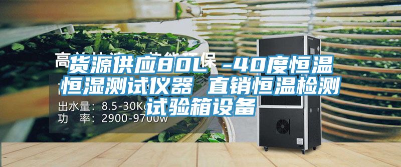 货源供应80L -40度恒温恒湿测试仪器 直销恒温检测试验箱设备
