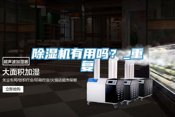 除湿机有用吗？_重复