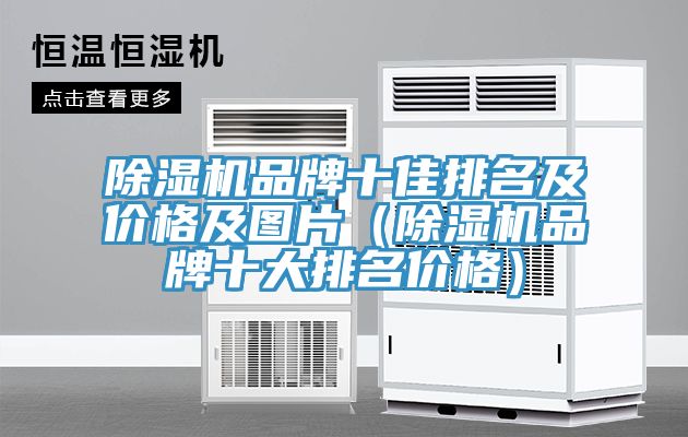 除湿机品牌十佳排名及价格及图片（除湿机品牌十大排名价格）