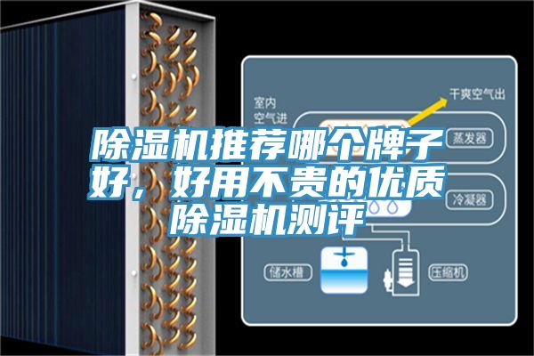 除湿机推荐哪个牌子好，好用不贵的优质除湿机测评