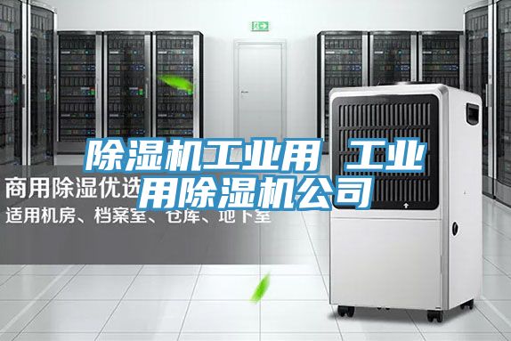除湿机工业用 工业用除湿机公司