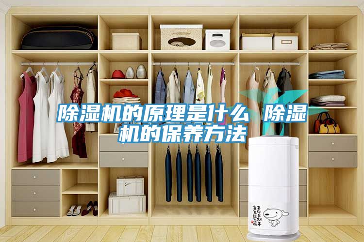 除湿机的原理是什么 除湿机的保养方法